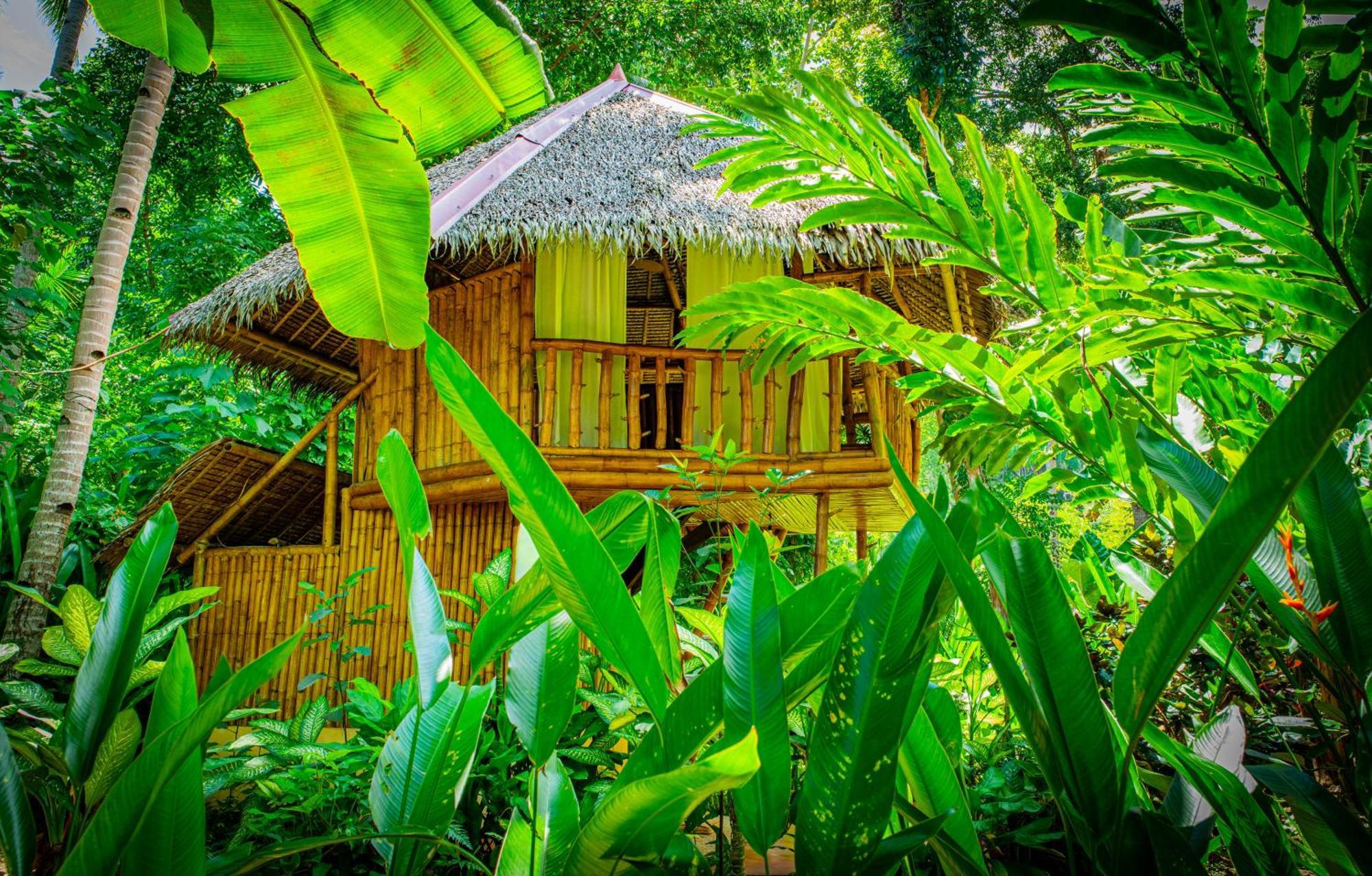 Water To Forest Ecolodge Loboc Exterior foto