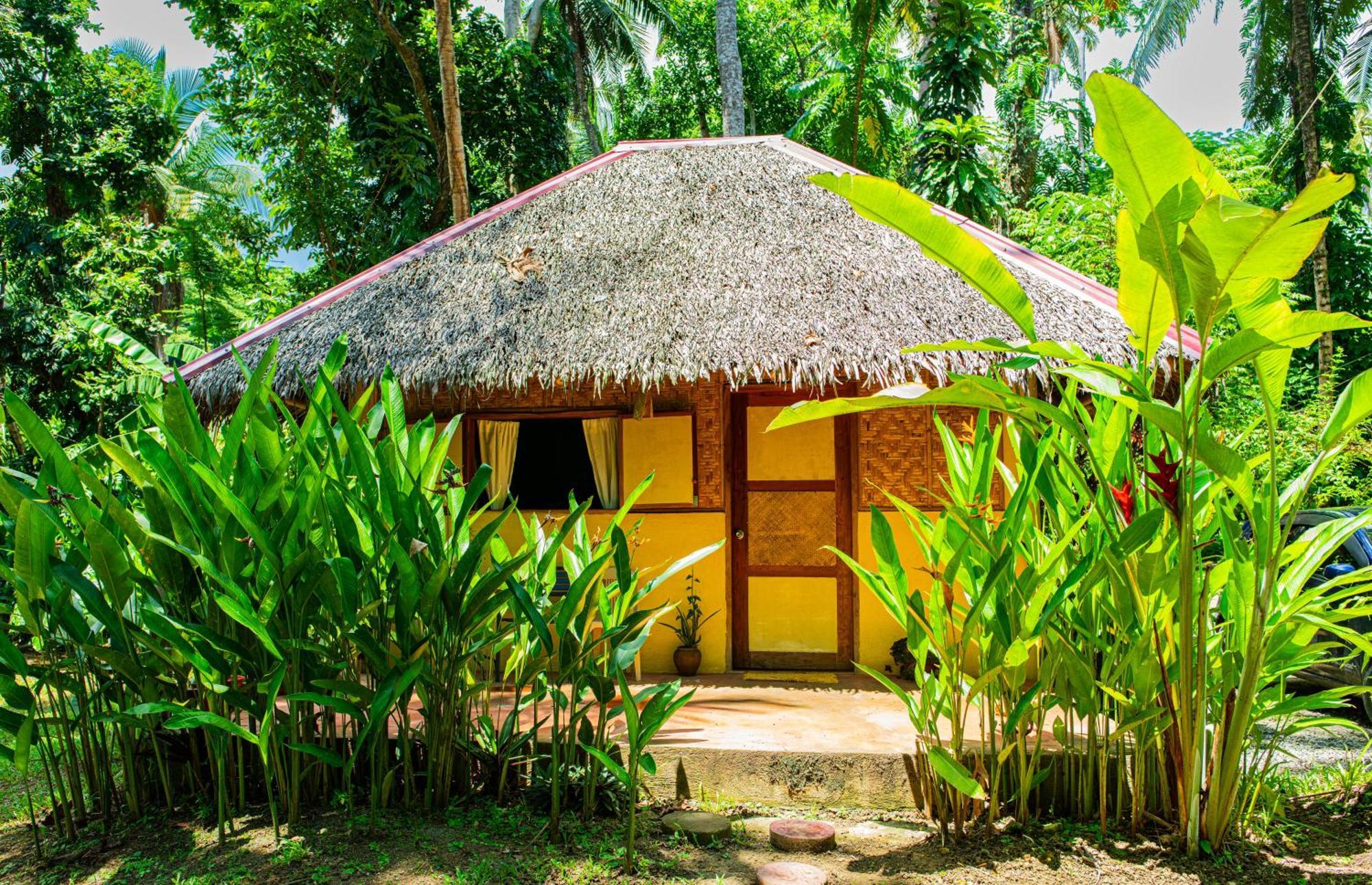 Water To Forest Ecolodge Loboc Exterior foto