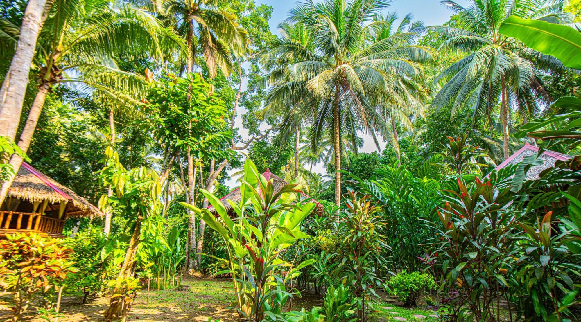Water To Forest Ecolodge Loboc Exterior foto