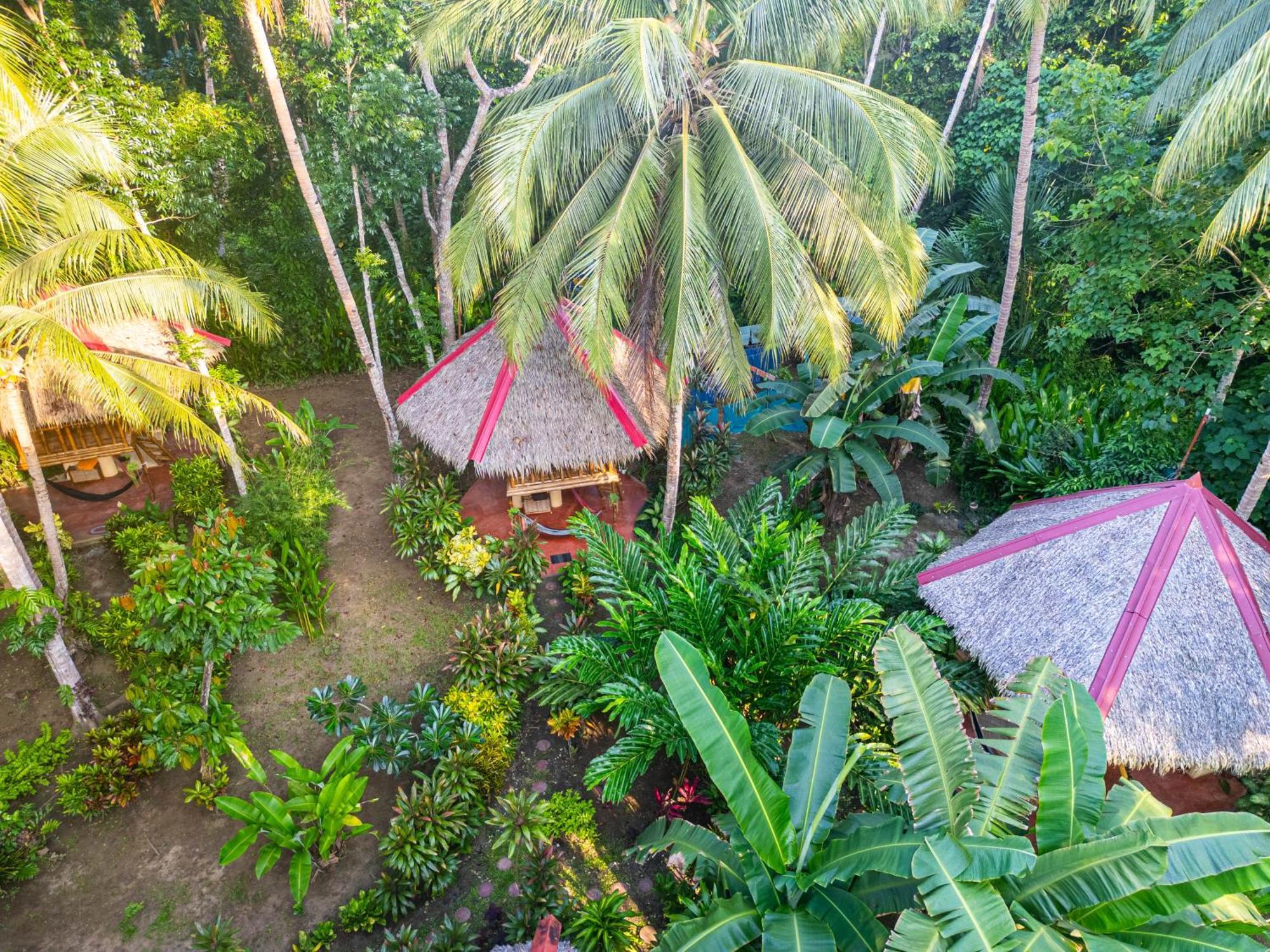 Water To Forest Ecolodge Loboc Exterior foto