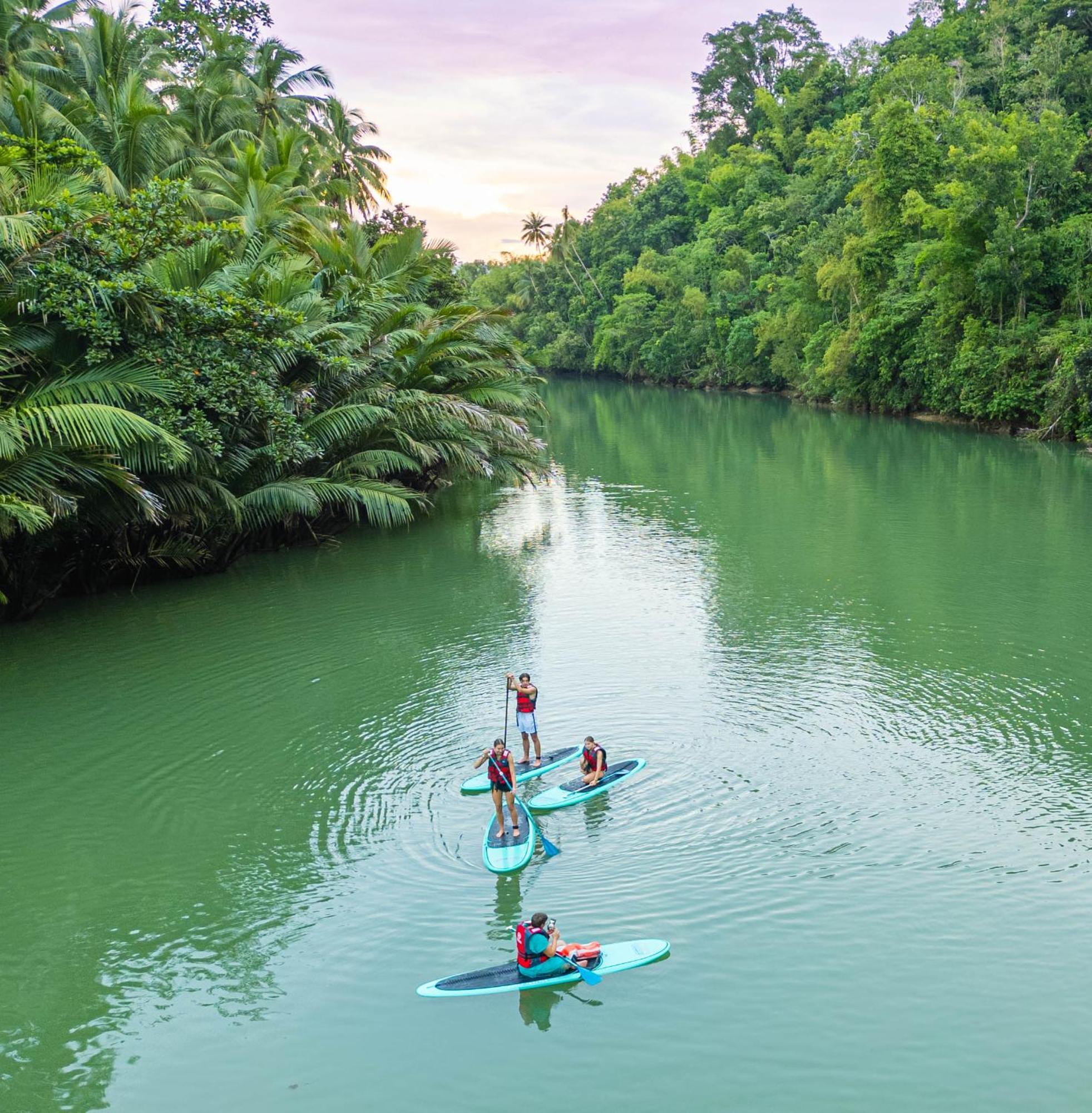 Water To Forest Ecolodge Loboc Exterior foto